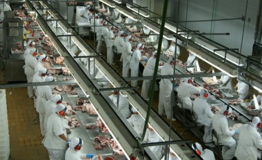santa catarina amplia exportacoes de carnes em maio 20180612 1294538914 Visor Notícias