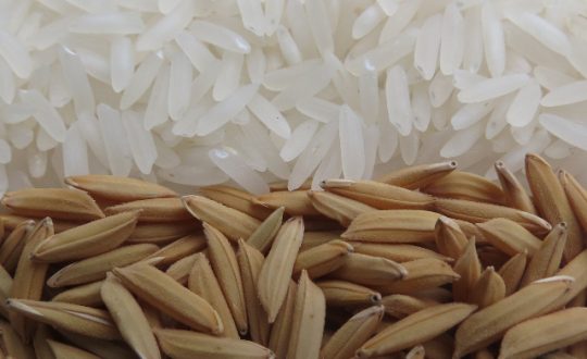 arroz Olimpio 2 Visor Notícias