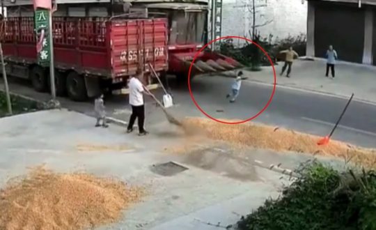 atropelado sobrevive video Visor Notícias