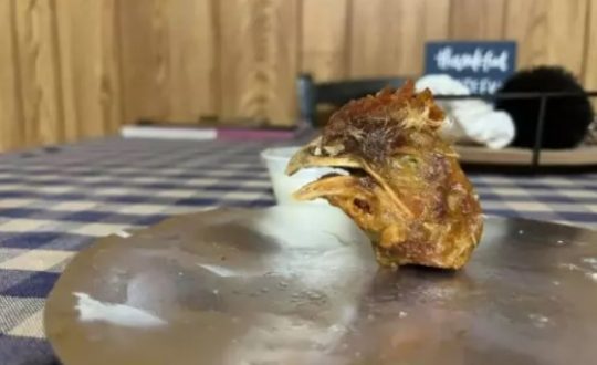 frita Visor Notícias