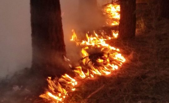 cobra incendio norte sc 800x533 1 Visor Notícias