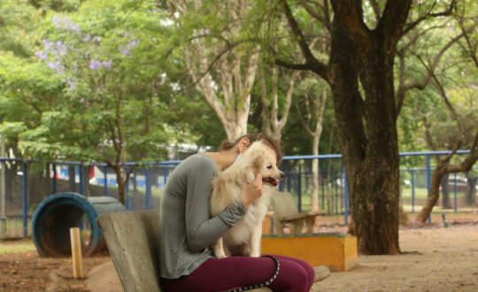 tutores com caes no parcao espaco exclusivo para cachorros na praca ayrton senna do brasil rvsa abr 103020210149 1 Visor Notícias