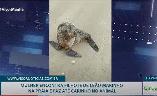 leao marinho ganha cafune Visor Notícias