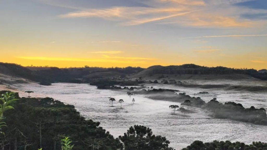 Geada na serra catarinense