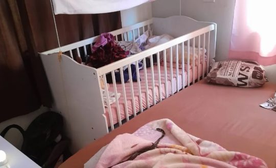 Imagem mostra cobra na cama