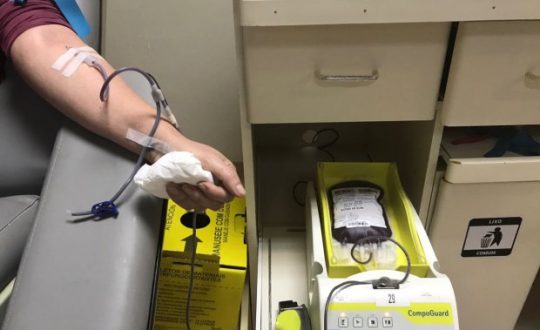 Imagem mostra doação de sangue