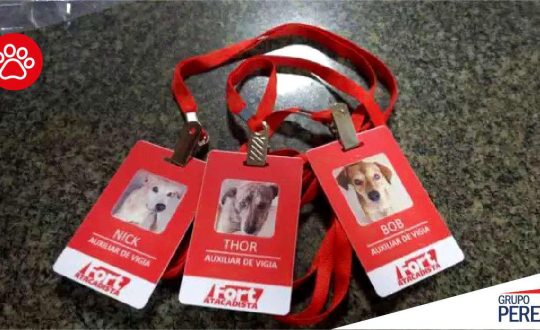 Imagem mostra crachá dos cães adotados pelo atacadista