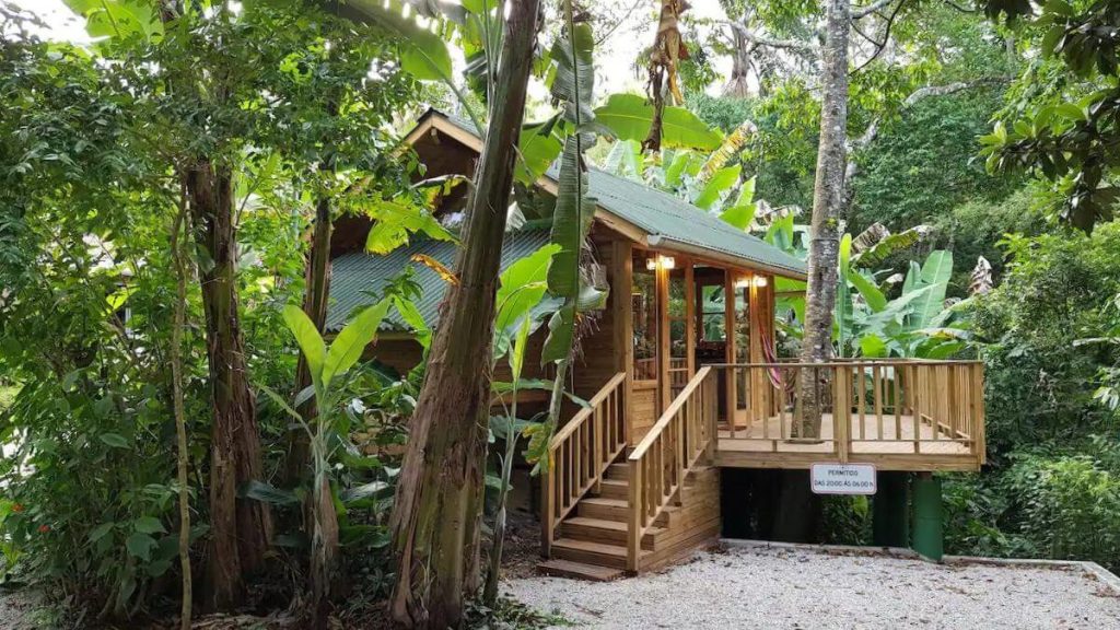 casa na arvora lagoa Visor Notícias