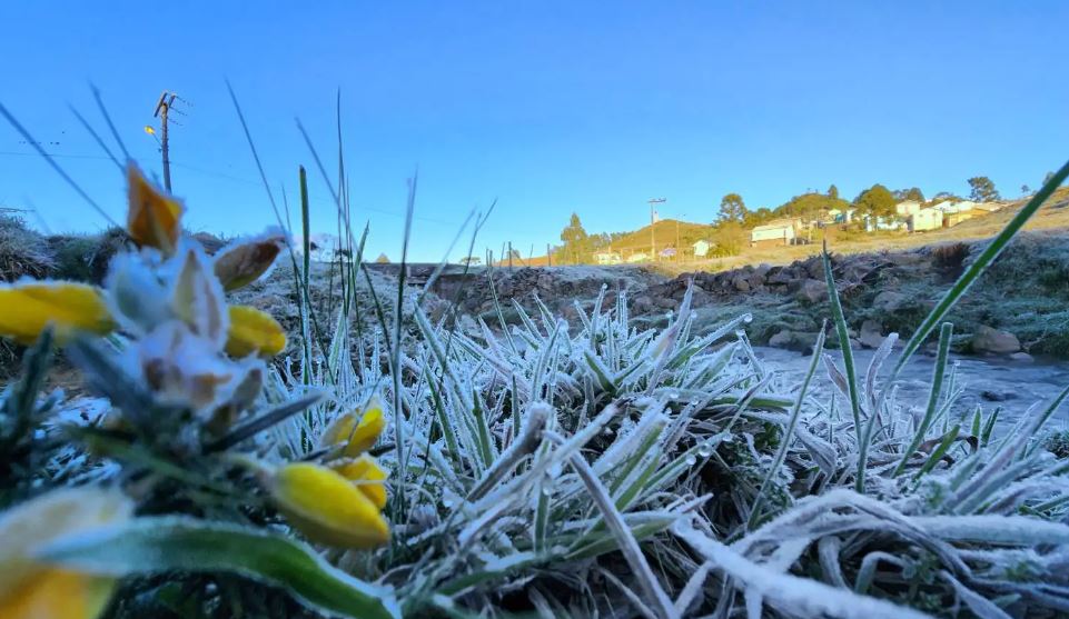 Imagem mostra frio em SC