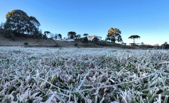 Imagem mostra frio em SC