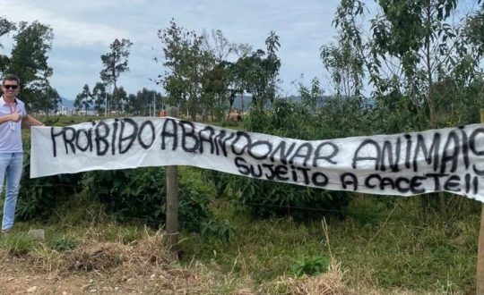 faixa tijucas abandono de animais Julio Cesar Bucoski Arquivo pessoal 944x531 1 Visor Notícias