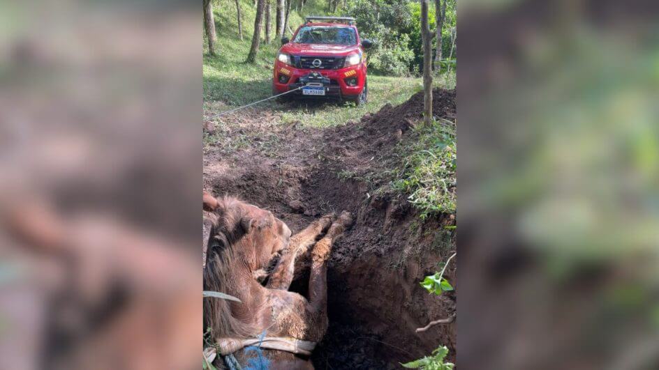 Egua fica soterrada ao cair em poco e trator e usado para resgate em SC 2 944x531 1 Visor Notícias