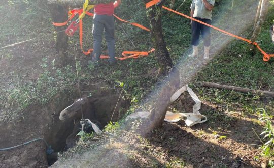Egua fica soterrada ao cair em poco e trator e usado para resgate em SC Visor Notícias