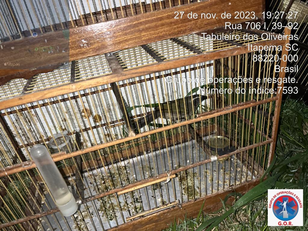 Imagem do WhatsApp de 2023 11 28 as 08.58.18 110e127a 1 Visor Notícias