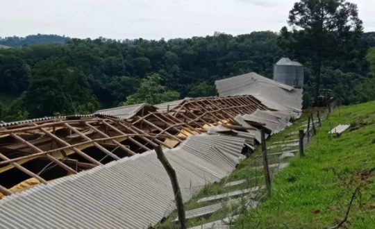 imagem mostra chiqueiro destruido