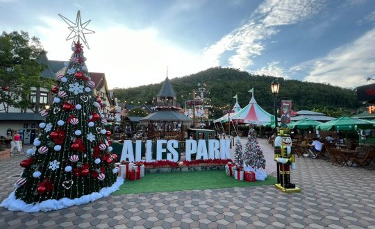 Imagem mostra natal do alees park