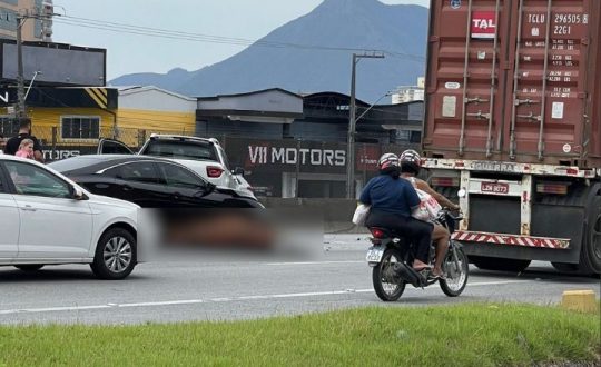 cavalo atropelado Visor Notícias