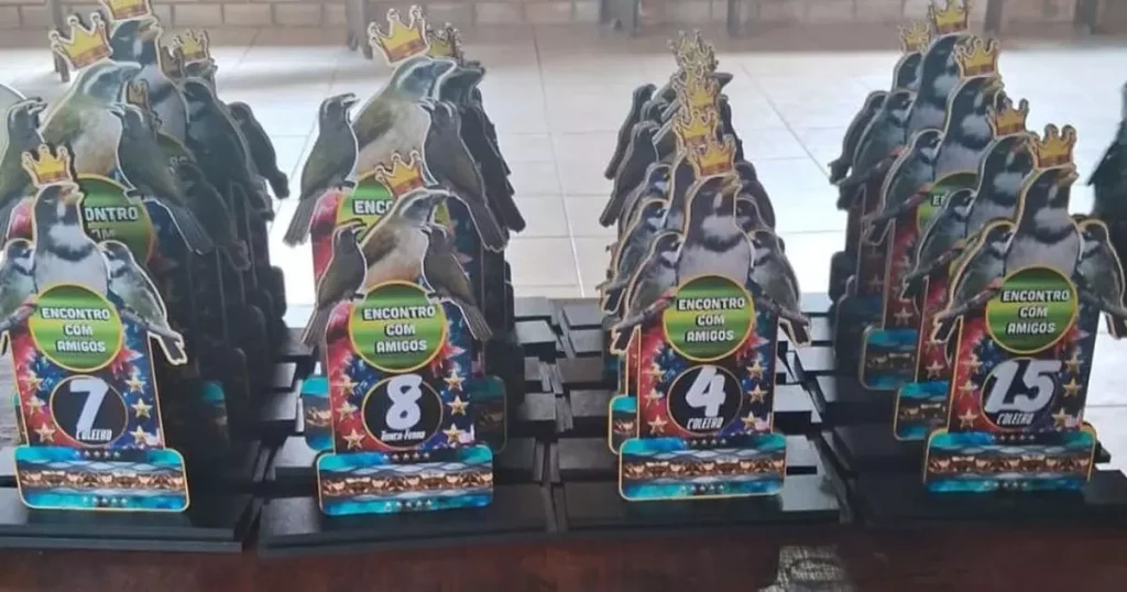 operacao apreende passaros em torneio de canto no sul de sc 4 Visor Notícias