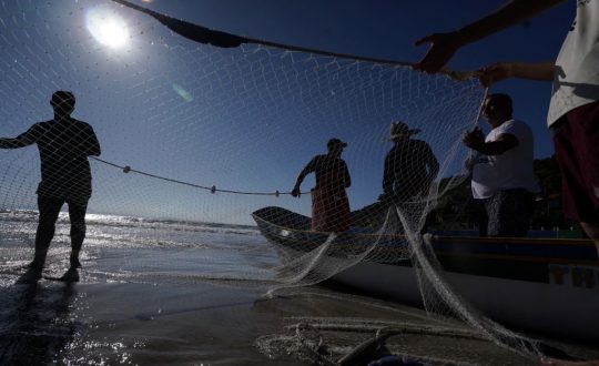 pesca e aquicultura Visor Notícias