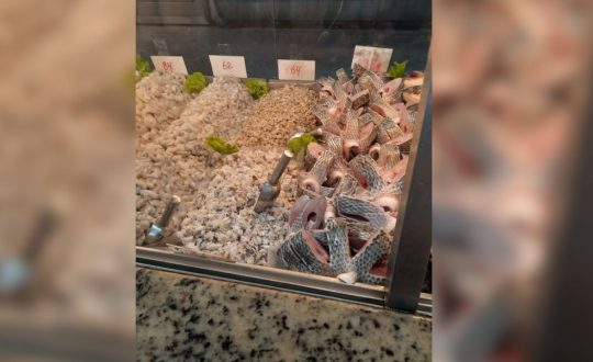 Fiscalizacao em peixarias 4 Visor Notícias