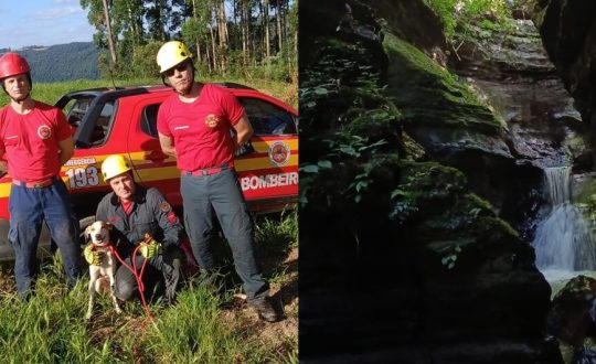 FOTOS Cao e resgatado apos cair em canyon e ficar uma semana desaparecido em SC 6 944x531 1 Visor Notícias