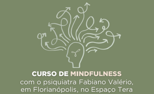 capa curso gratuito Visor Notícias