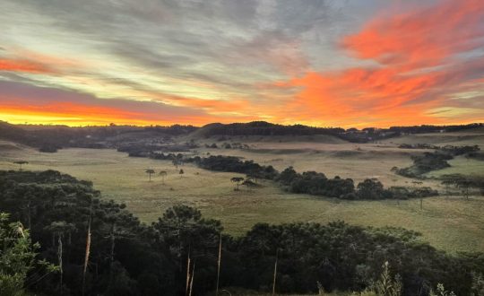 Serra Catarinense amanhece com os campos prateados de geada 1 Visor Notícias