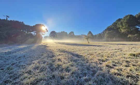 Veja cinco dicas para tirar belas fotos das geadas na Serra catarinense 10 Visor Notícias