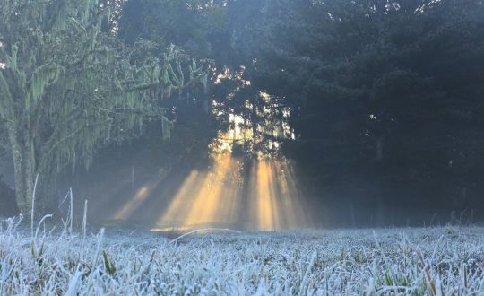 Veja cinco dicas para tirar belas fotos das geadas na Serra catarinense 12 Visor Notícias