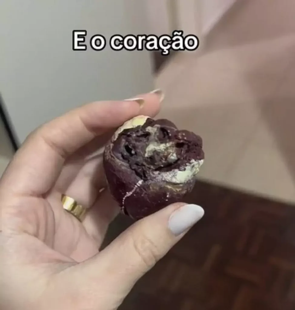 cachorro empalhado viral 3 Visor Notícias