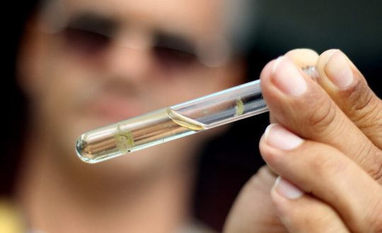 Santa Catarina chega a 329 mortes por dengue em 2024 944x531 1 Visor Notícias