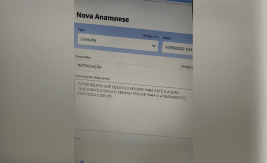 Proporcao site 2 2 Visor Notícias