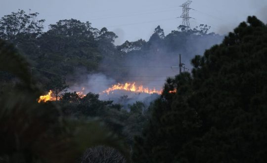 VIDEO Incendio em mata em Florianopolis mobiliza bombeiros nesta quarta 944x531 1 Visor Notícias