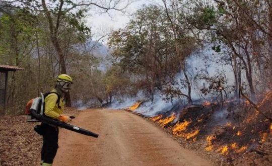 Bombeiros Militares de SC nos incendios de Mato Grosso Foto Divulgacao CBMSC 5 Visor Notícias