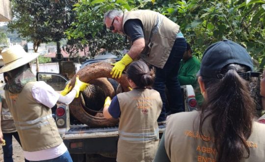 Camboriú realiza “Dia D” de combate à dengue em 26 de novembro 1 013621ec bd28 46e1 ae54 946513b0cc20 1140x570 1 Visor Notícias