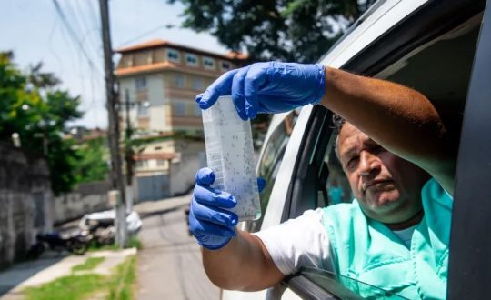 Projeto que defende uso obrigatório da bactéria“Wolbachia” para combater Aedes Aegypti em SC avança na Alesc 1 dengue Visor Notícias