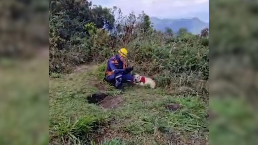 homem desaparecido pico jurape grm divulgacao 4 Visor Notícias