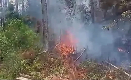 incendio atinge o morro dos cavalos na grande florianopolis 800x467 1 Visor Notícias
