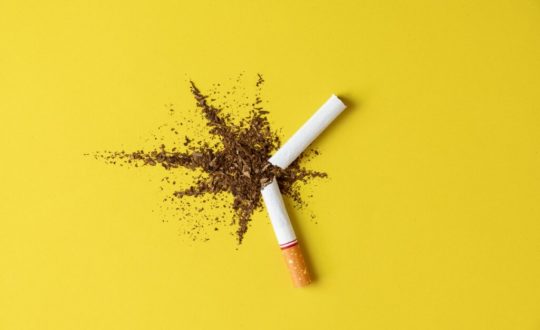 Cigarro quebrado ao meio com o conteúdo espalhado em um fundo amarelo