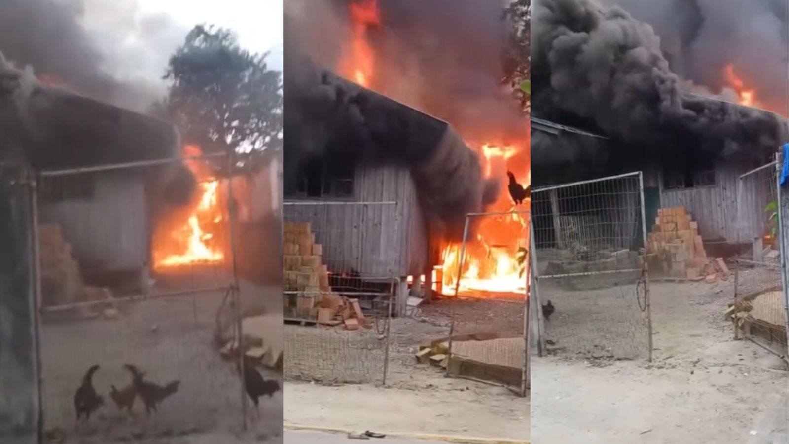imagens mostram incêndio em casa da Rua 450