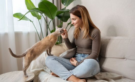 Mulher sentada em um sofá e dando petisco para um gato