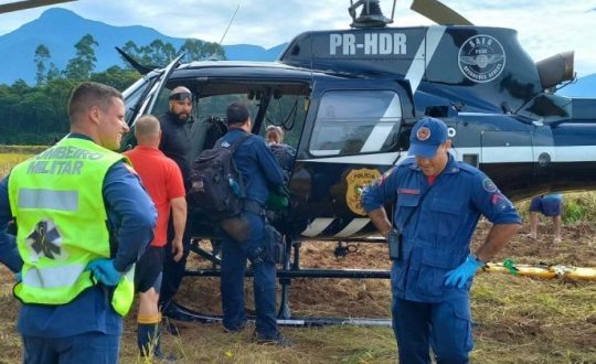Homem atacado por marimbondos Visor Notícias