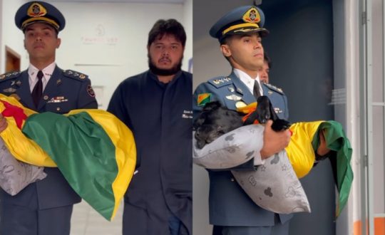 cao bombeiros Visor Notícias
