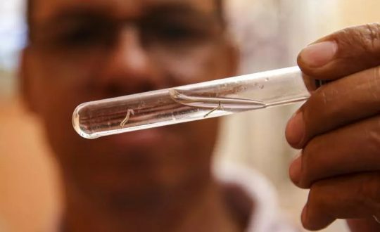 dengue dengue Visor Notícias
