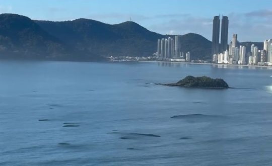 a body of water with a city in the background