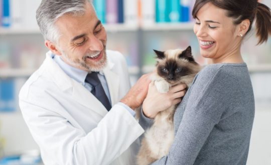 Tutora com gato em consulta com médico-veterinário