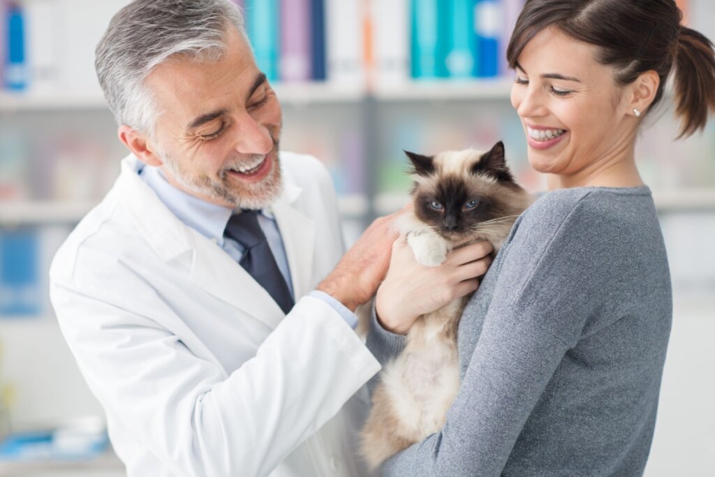 Tutora com gato em consulta com médico-veterinário