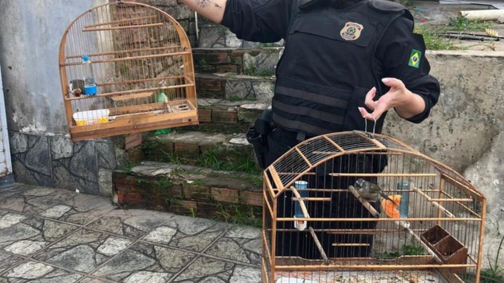 policia federal operacao trafico de animais Visor Notícias