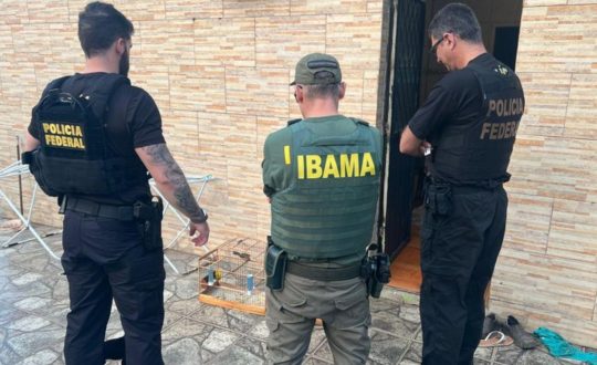 policia federal operacao trafico de animais em sc Visor Notícias