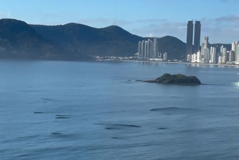 praiacentralbcvisornoticias 1 Visor Notícias